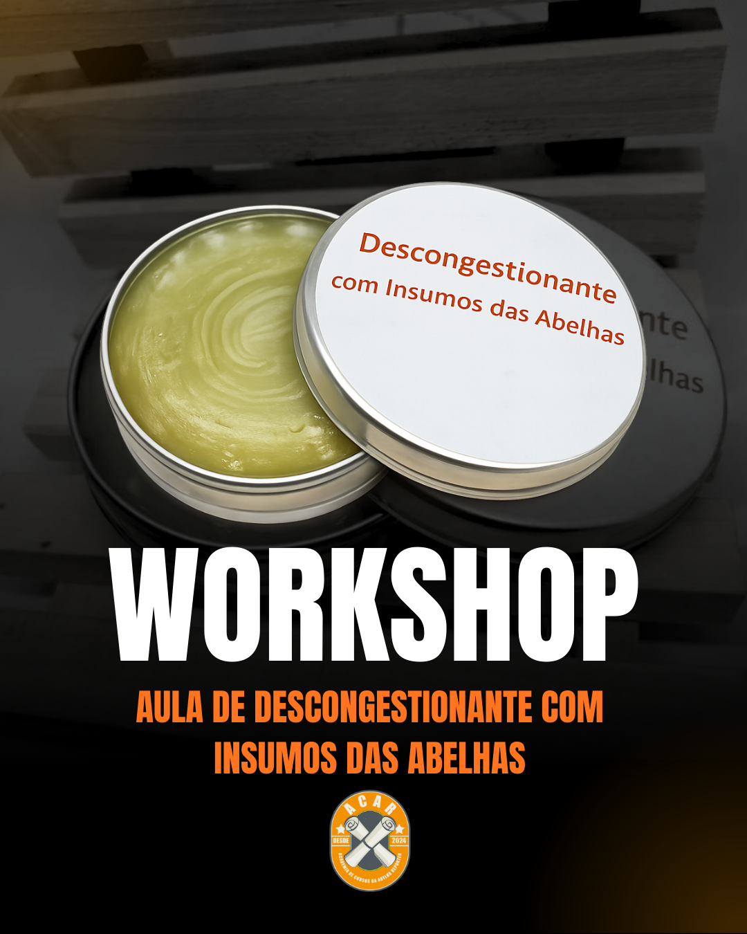 4º Workshop: Aula De Descongestionante com Insumos das Abelhas