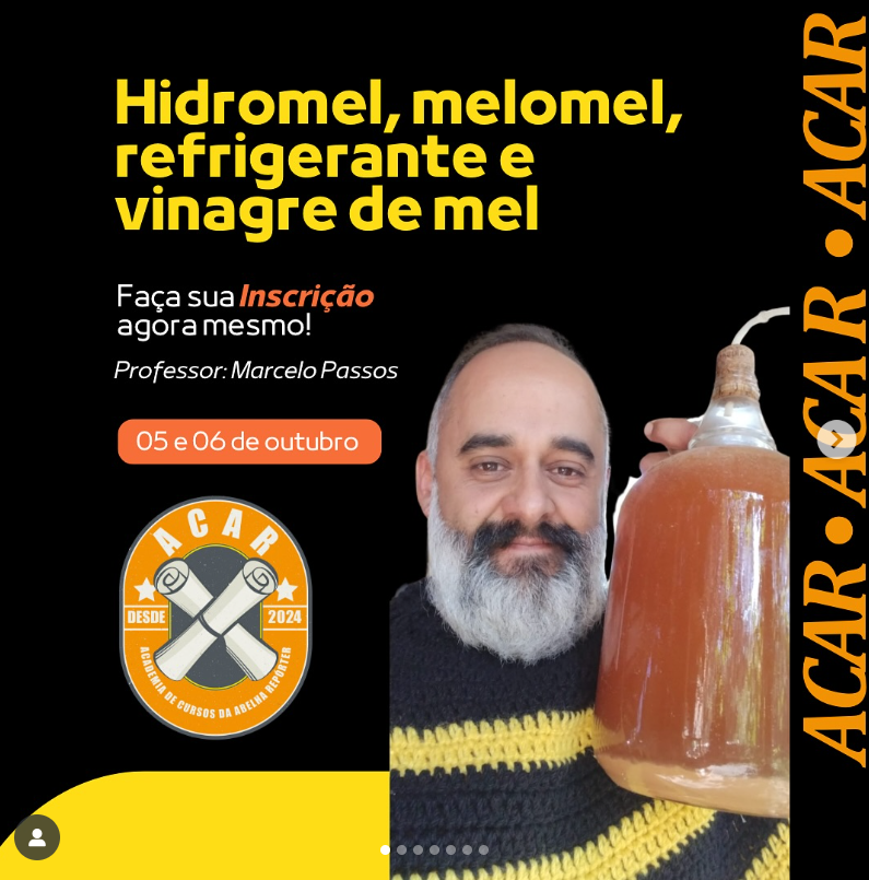 Workshop - Hidromel, Melomel, Refrigerante de Mel e Vinagre de Mel