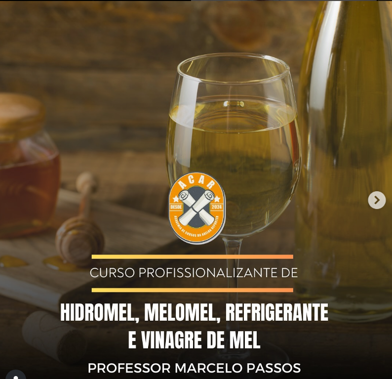 Workshop - Hidromel, Melomel, Refrigerante e Vinagre de Mel