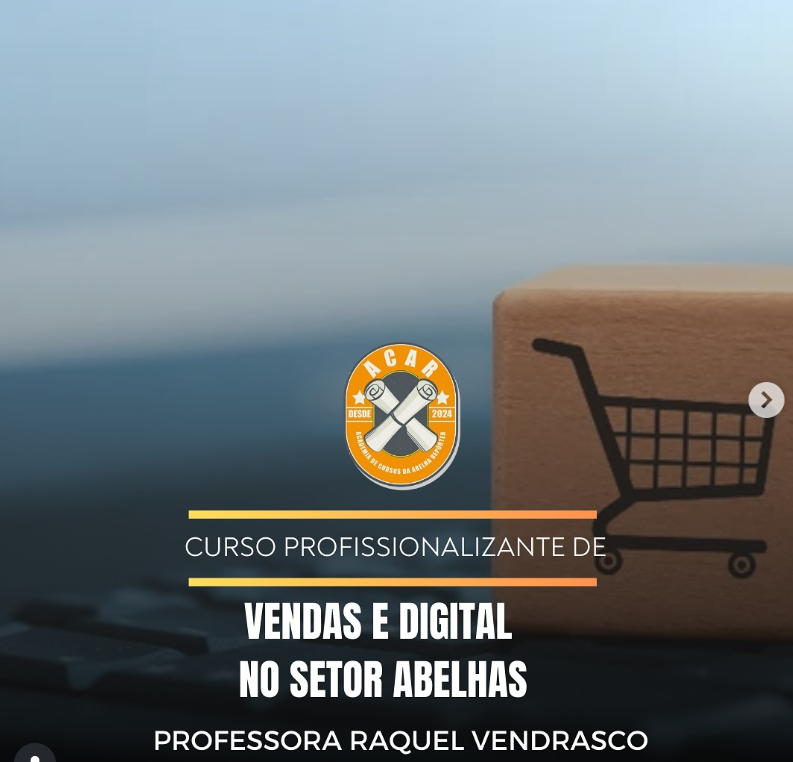 Workshop - Aula Vendas e Digital no Setor Abelhas 